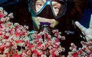 fun dive