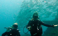 fun dive