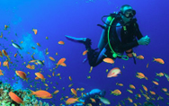 fun dive