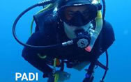dive padi