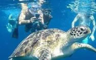 snorkel