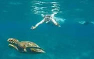 snorkel